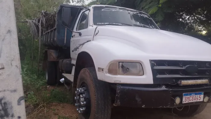 Ford f14000 MWM 299