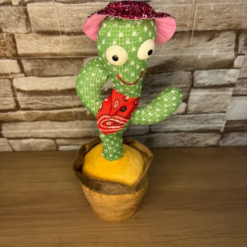 CACTO DANÇARINO