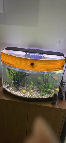 Aquario e acessórios