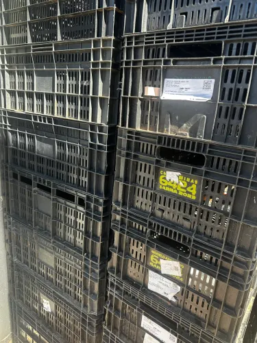 Caixa 6424 Ceasa 16.5 hortifruti organizadora grade preta