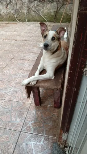 Doação