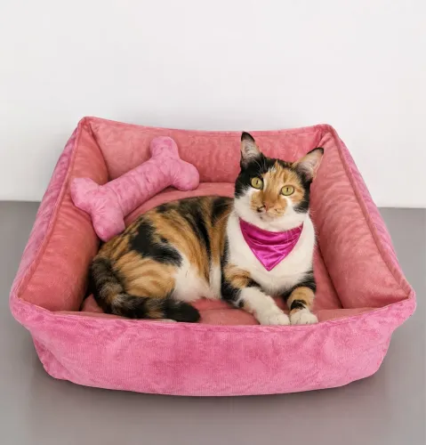 Cama pet - Linha premium