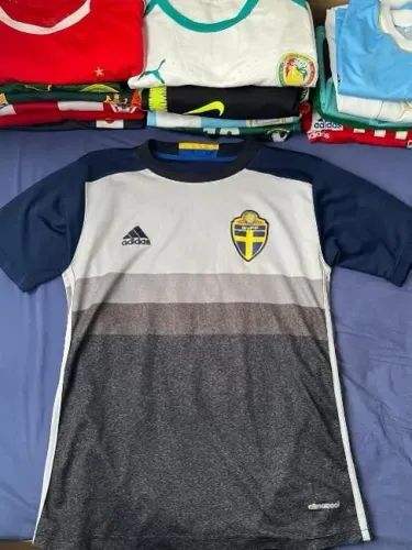 Seleção Sueca de Futebol