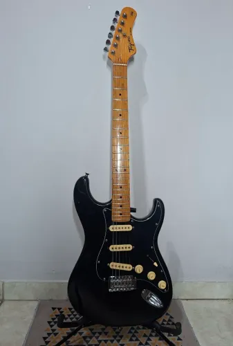 Guitarra Tagima TG530 WoodStock