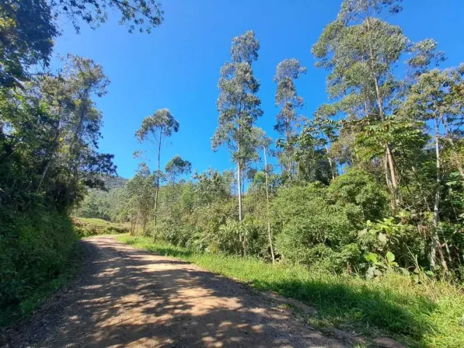Terreno BENEDITO NOVO - SC
