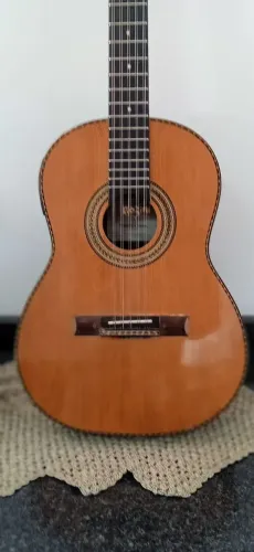 Viola caipira Rozini elétrica Brasil presença