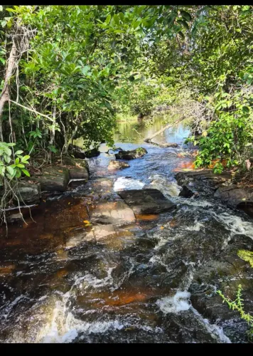 vendo boa fazenda em Camamu