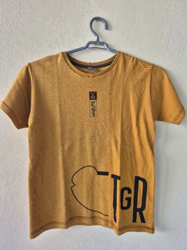 Kit com 3 camisas tigor tam. 8