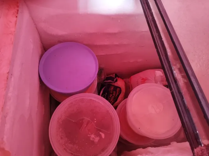 Freezer Sorveteria 2 portas
