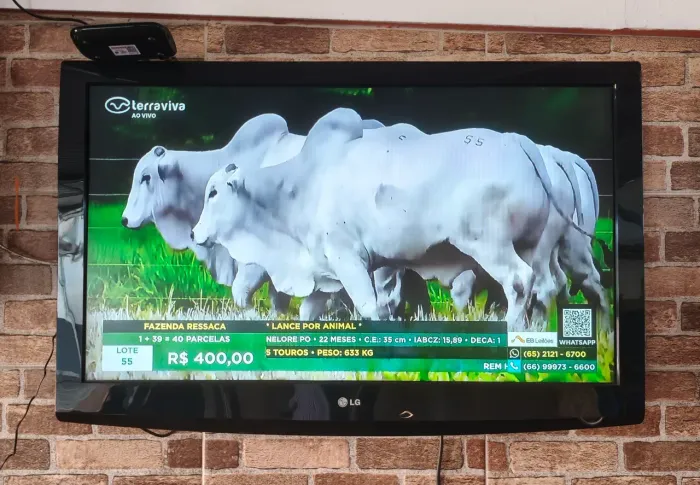 TV LG 42 polegadas, não é smart (Anápolis)