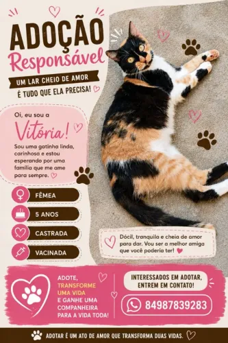 Adoção 