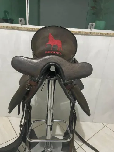 Cela cavalo piquira (leia a descrição)