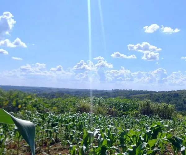 Terreno 1400m ideal para área de lazer