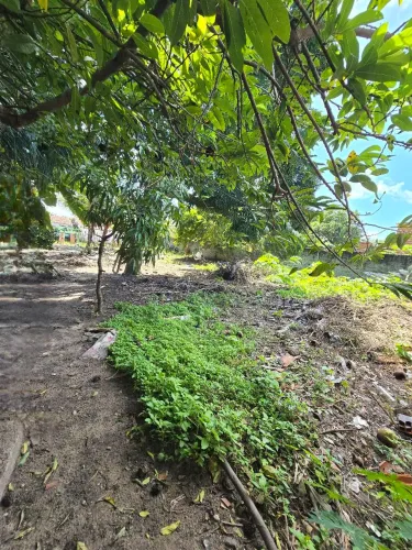 TERRENO PROXIMO A PRAIA