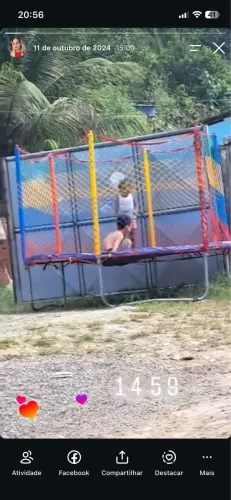 Pula pula
