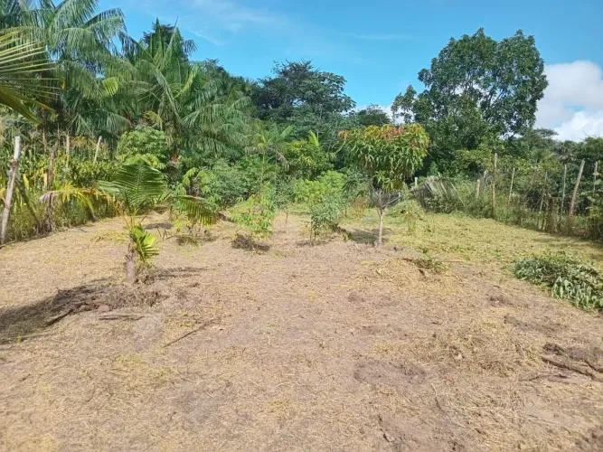 Vendo terreno na Mata em São José de Ribamar