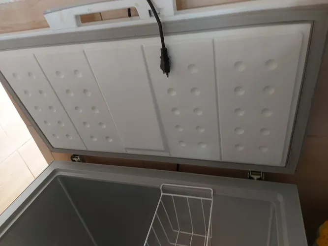 Freezer vertical