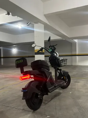 Scooter Elétrica Panda WD2 1000W - Potência, Estilo e Economia
