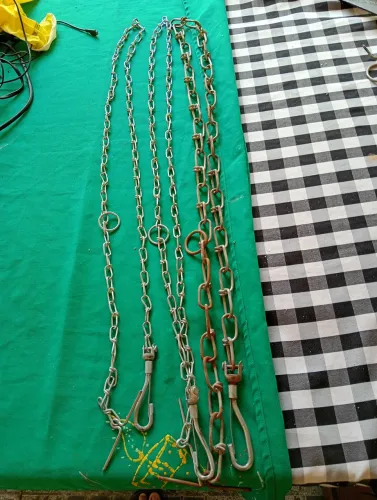 CORRENTES PRA PET
