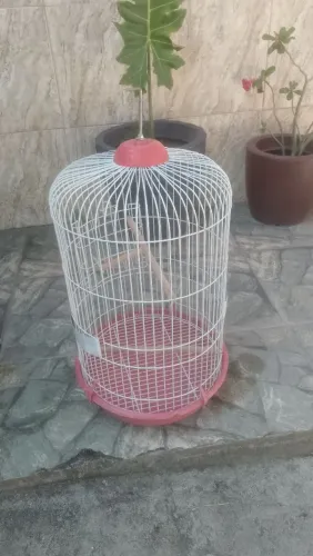 Gaiola para pássaros