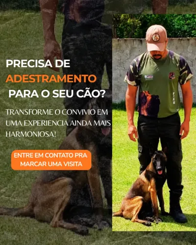 Adestramento caruaru