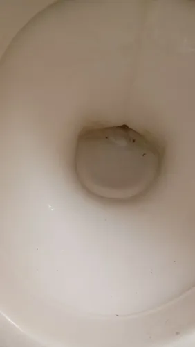Vende se vaso sanitário mais caixa acoplada semi nova obs retirar em santos