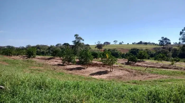 Terreno para Venda em Espírito Santo do Turvo, Domélia