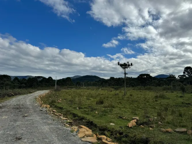 Imóvel para venda 2 hectares na Serra Catarinense