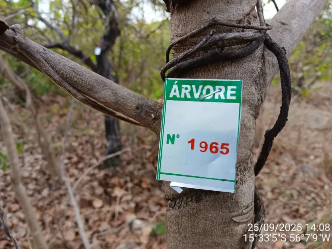 Licença Ambiental - Estudo  de Fauna e Inventário Florestal 