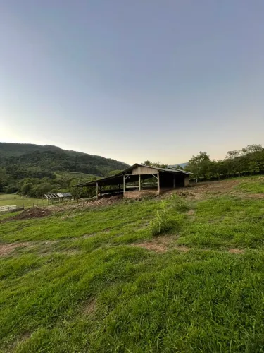 Cancha de Laço à Venda - Próxima a Gramado