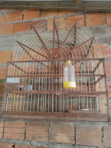 Gaiola 