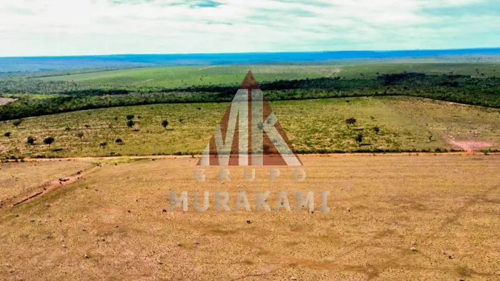 FAZENDA - AQUIDAUANA - MS