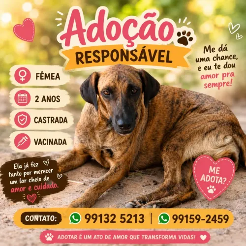 Adoção responsável 