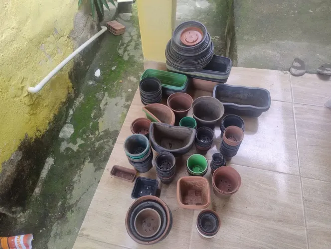 Vasos para plantas usados
