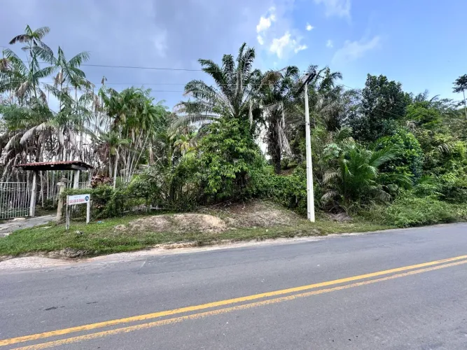 Vende-se o Sítio São José de Ribamar: Um Paraíso Tropical na AM 010, Km 112.