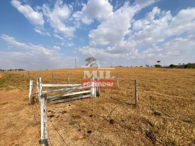 Chácara 4 Alqueires (19,36 Hectares) Inhumas - GO