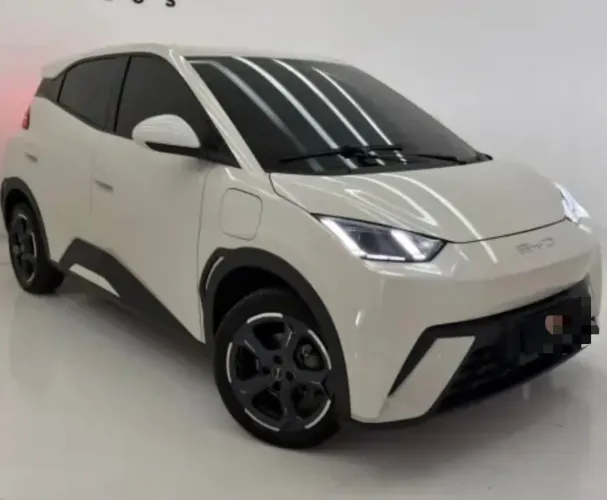 BYD Dolphin Mini (Elétrico) 2024