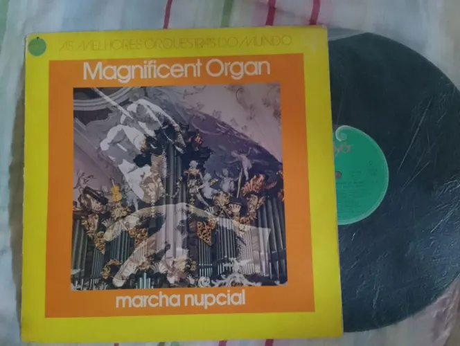 Vinil magnificent organ