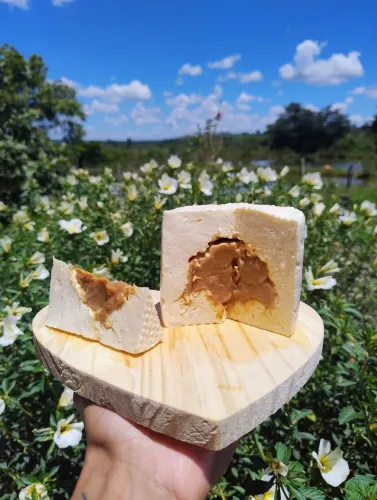Vendo queijo artesanal - tradicional e recheado 