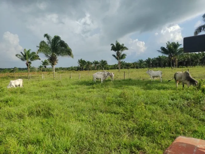 Fazenda 300 alqueires em Paragominas toda documentada dupla aptidão por R$30 milhões