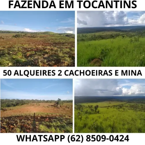 Fazenda de 50 Alqueires em Tocantins Documentada