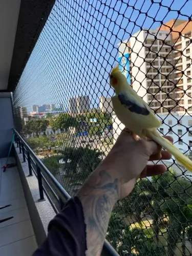 Redes de proteção