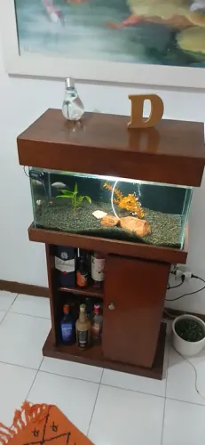 Aquário de Mesa Decorativo