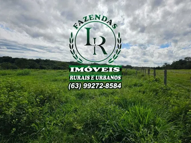 Fazenda 377 Alqueires Tocantins Campos Lindos