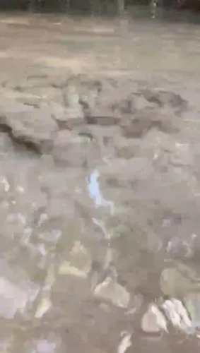 Fervedouro a Venda em Lizarda/São Félix.