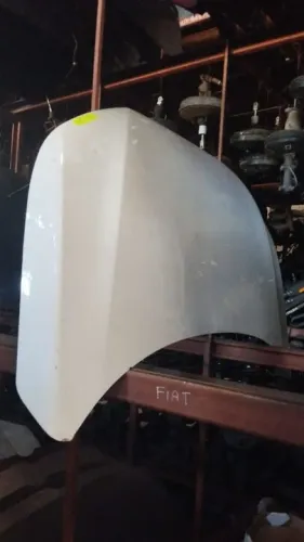 Capo Fiat argo 2021