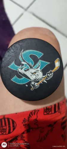 Disco de Hóquei Anaheim Ducks