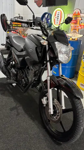 Factor 150 ED Blueflex 2021 Única Dona