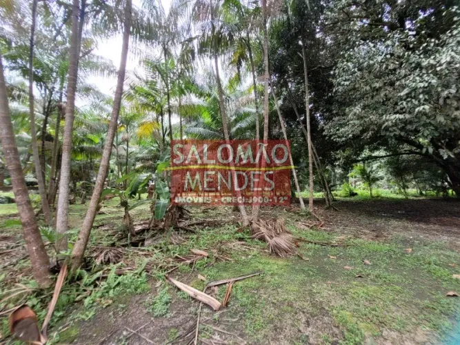 Lote/Terreno para venda tem 35000 metros quadrados