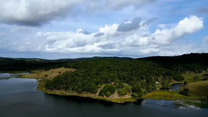 PROPRIEDADE RURAL 37HECTARES COM BASTANTE ÁGUA